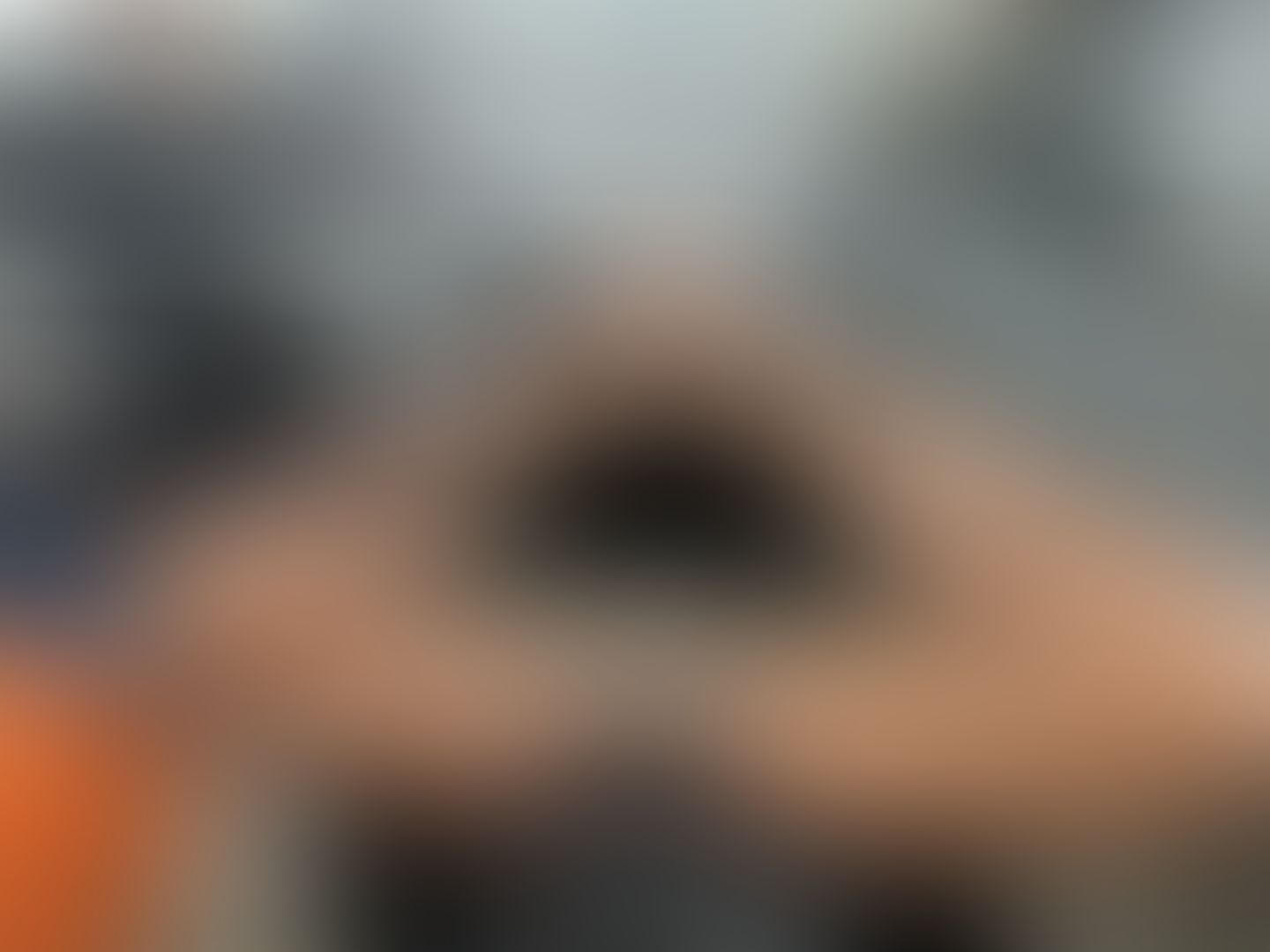 Passenger princess pussy 👑 