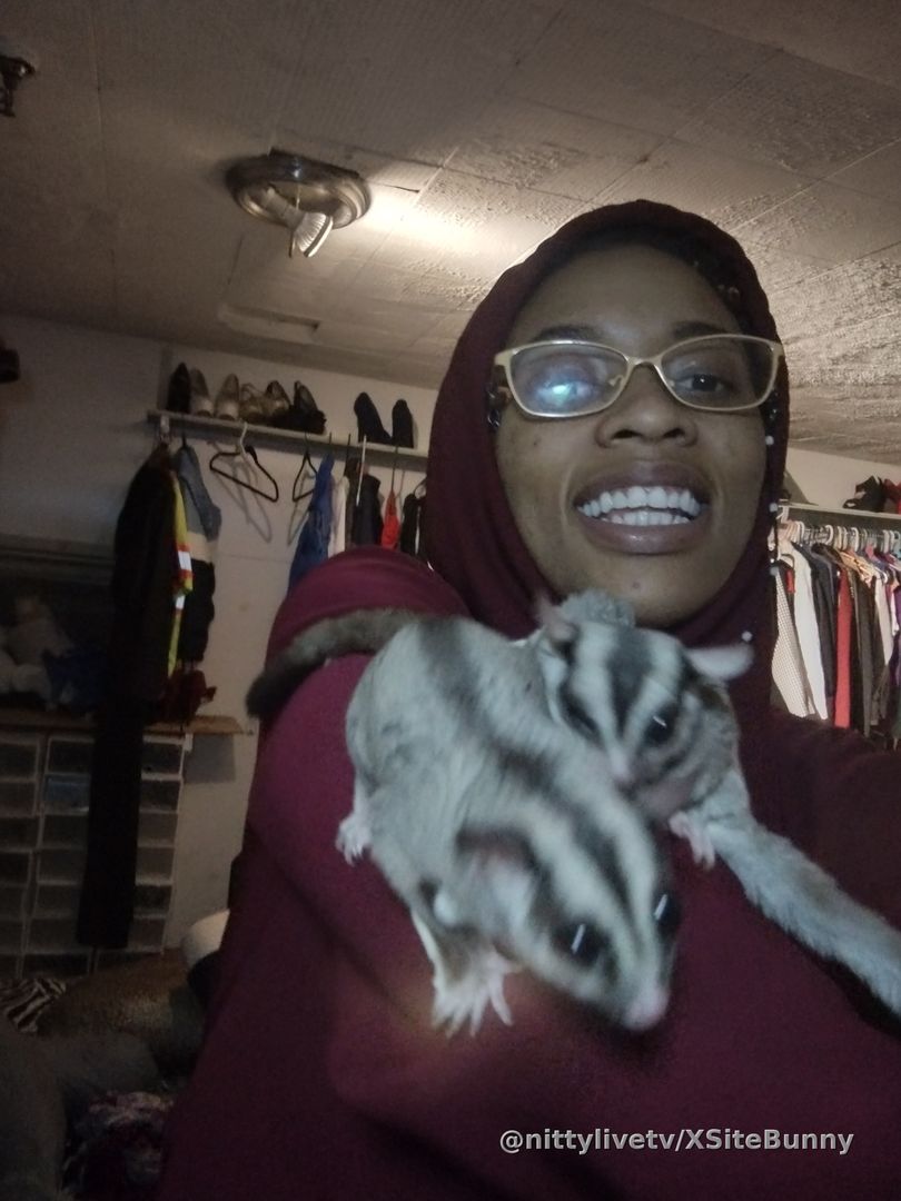 Hey! Do you love Sugar Glider's.. I do; they are amazing! Enjoy how much they 💕 me.