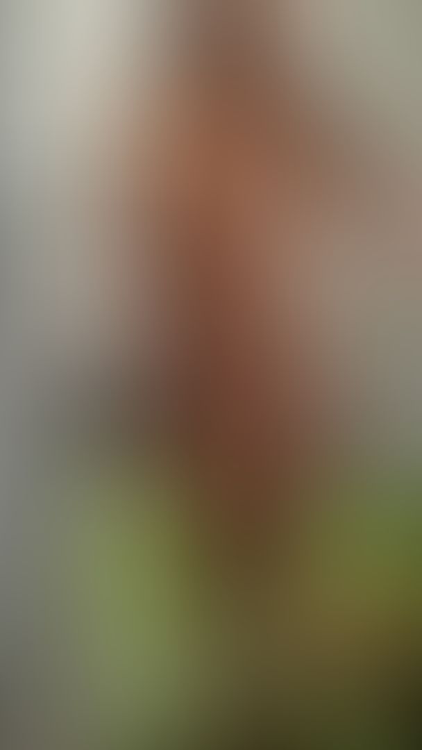 Just walking around my house in my best suit