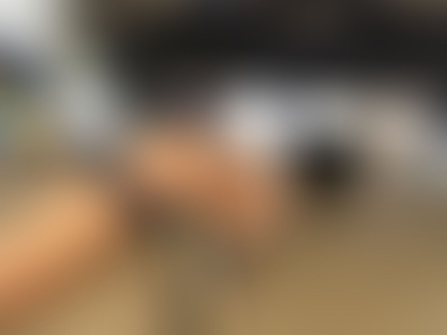 Who else needs vechicle help? 