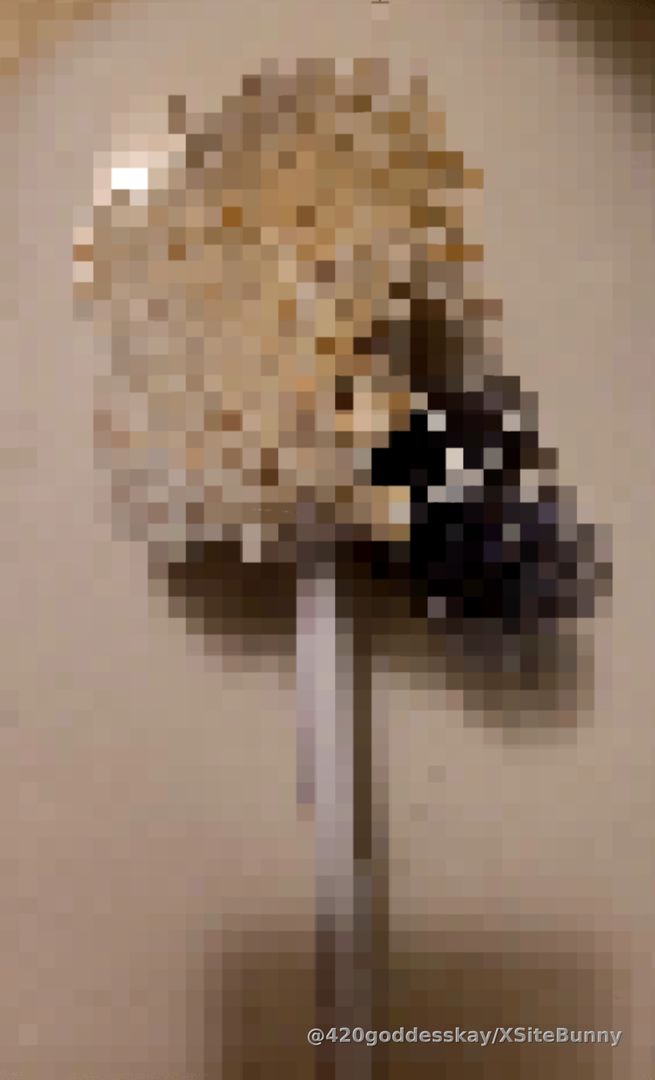 Censored: Used Toilet Brush ✨️Message for price✨️