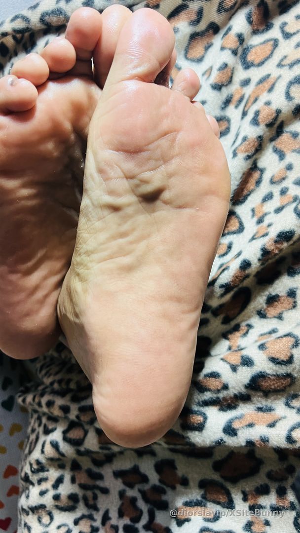 Extreme cold weather means bundled up on the couch with the puppy as a foot warmer