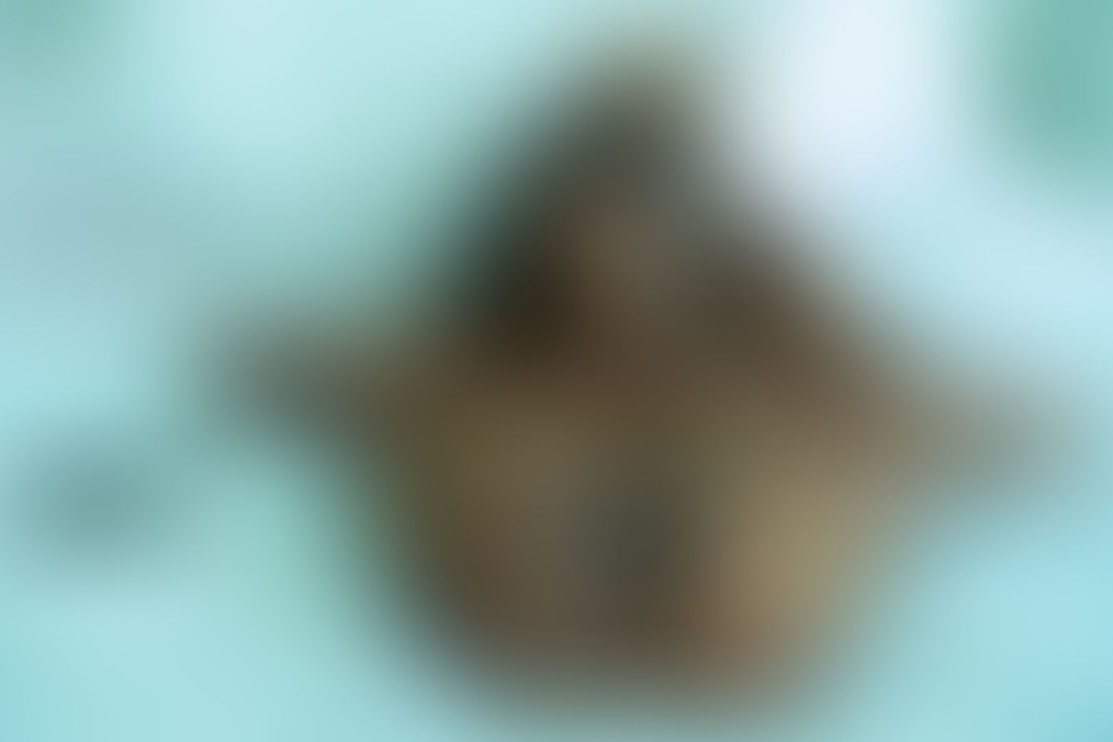 Am I your favorite pretzel? 