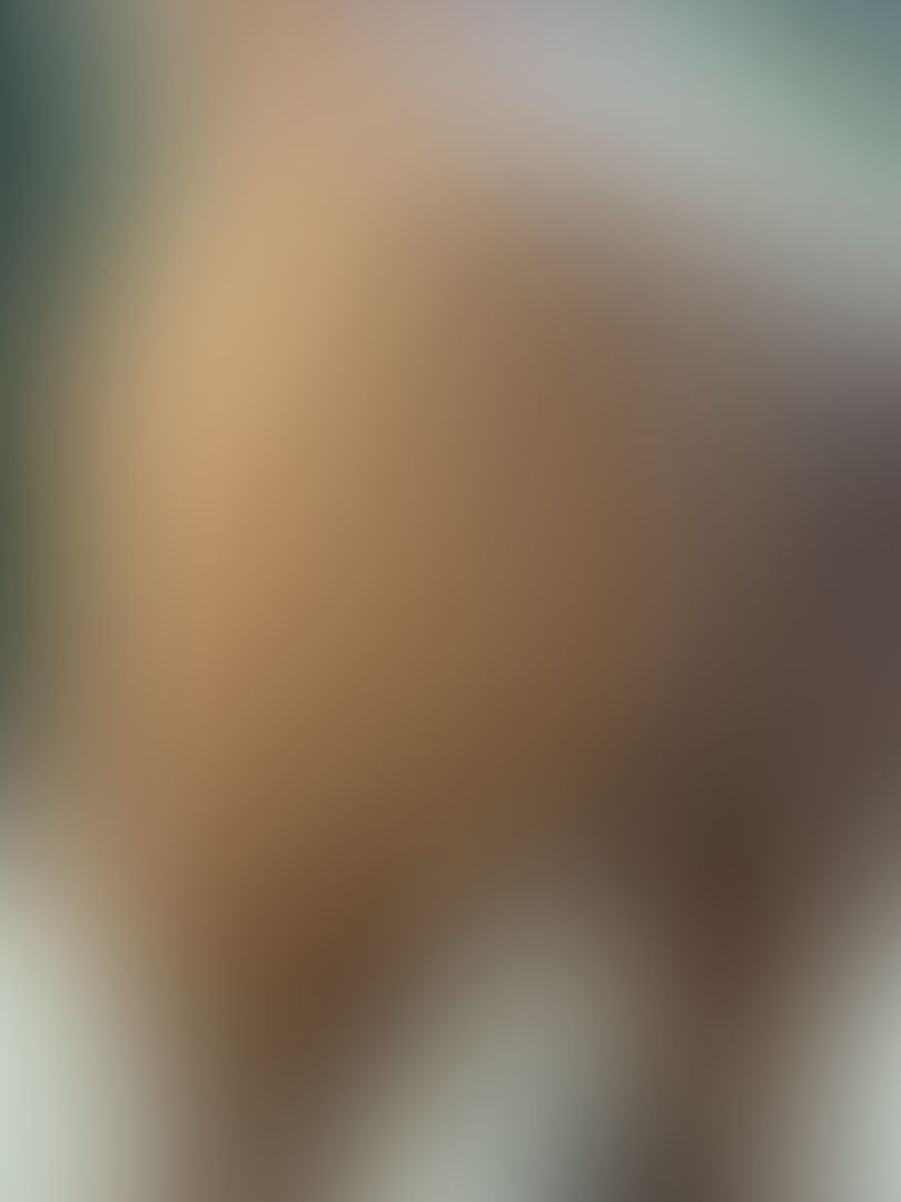 I put my panties back on without even wiping up just to get them all messy for you… tell me you want them