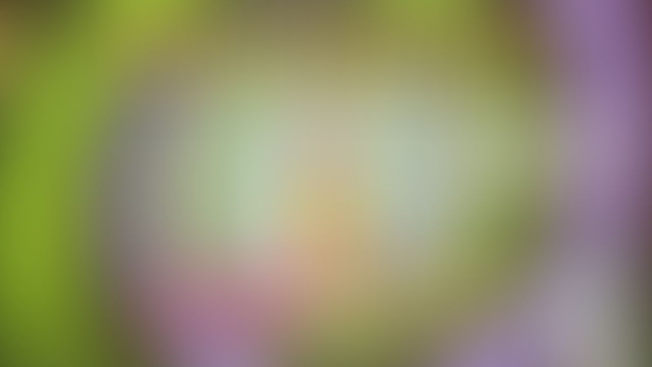 *REUPLOAD* Dad Trains You | Difficulty: New Toilet | Cognitive Reprogramming Therapy