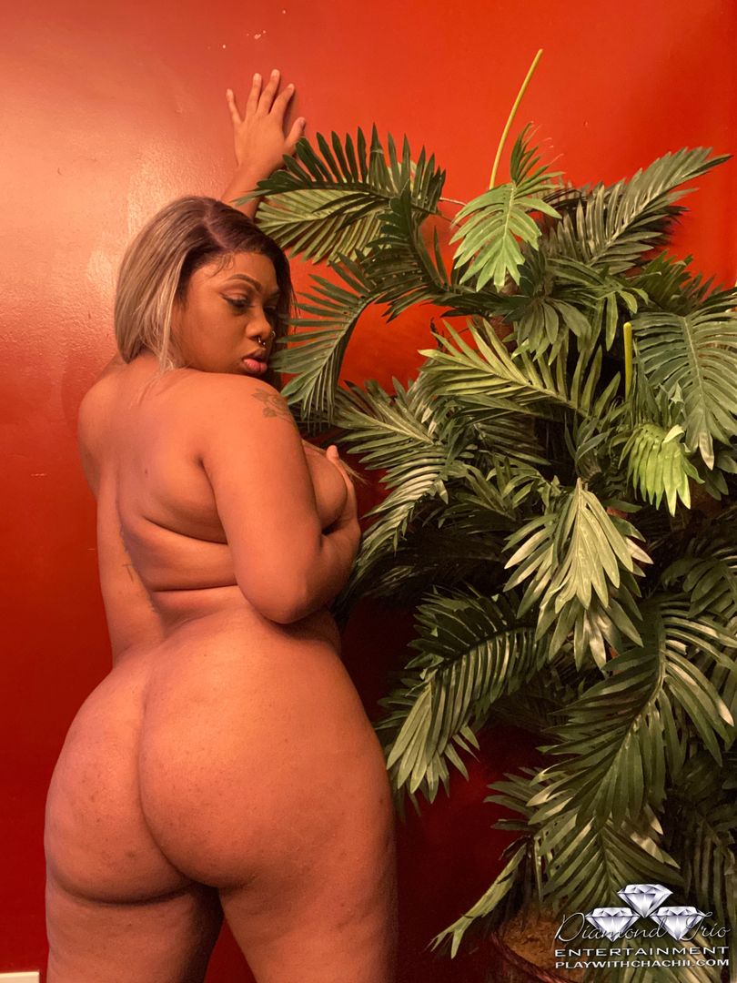 Good Afternoon ☀️ my next 10 subs will receive a free video in their private messages💗 I want you to have a good day so kick it off with a nut💋
