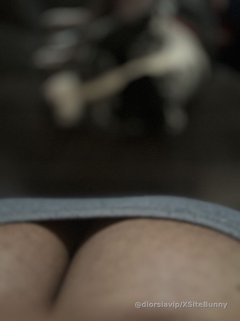 Happy belated titty Tuesday featuring a very tired pitty puppy