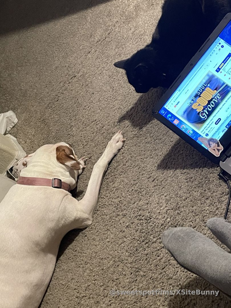 Just a little bit of vision through my eyes, we can all get along😵‍💫 @sweetspotfilms 