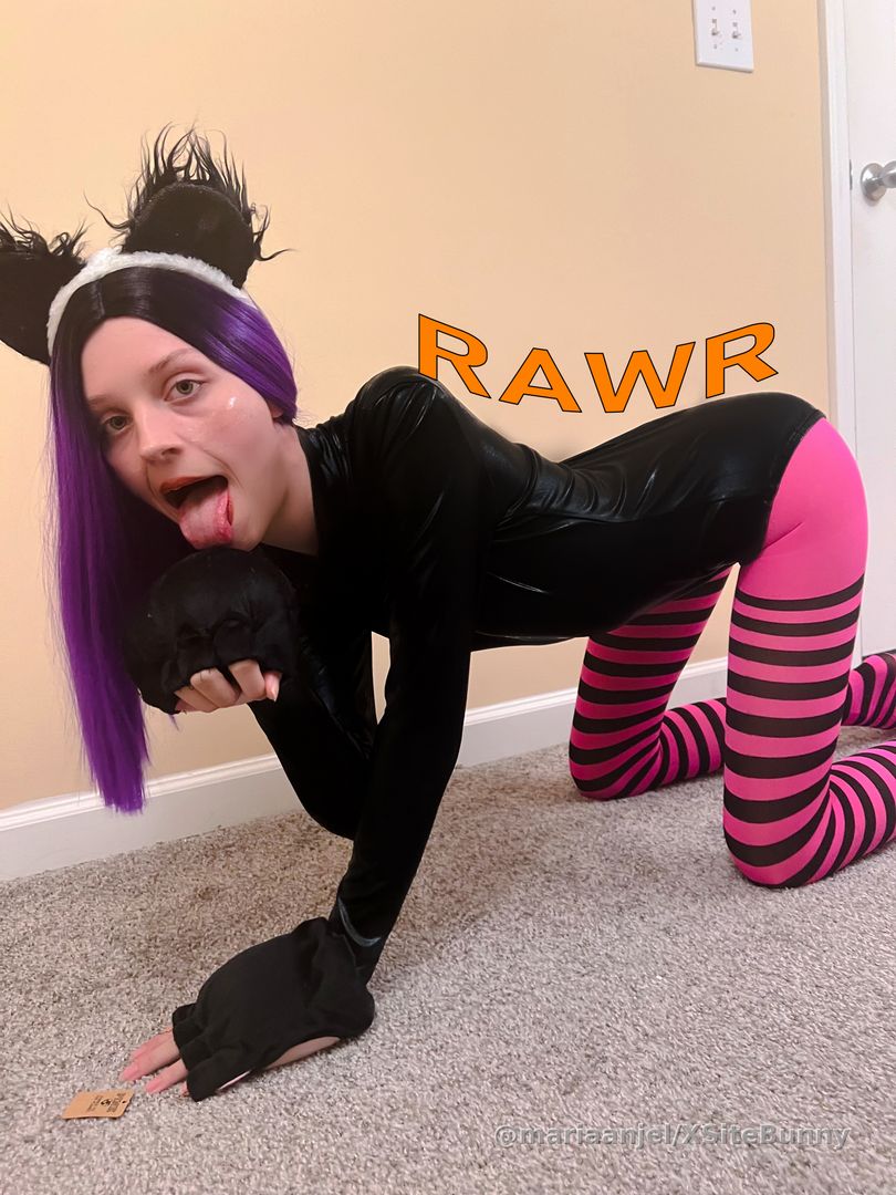 I'm A Cute Kitten hehe