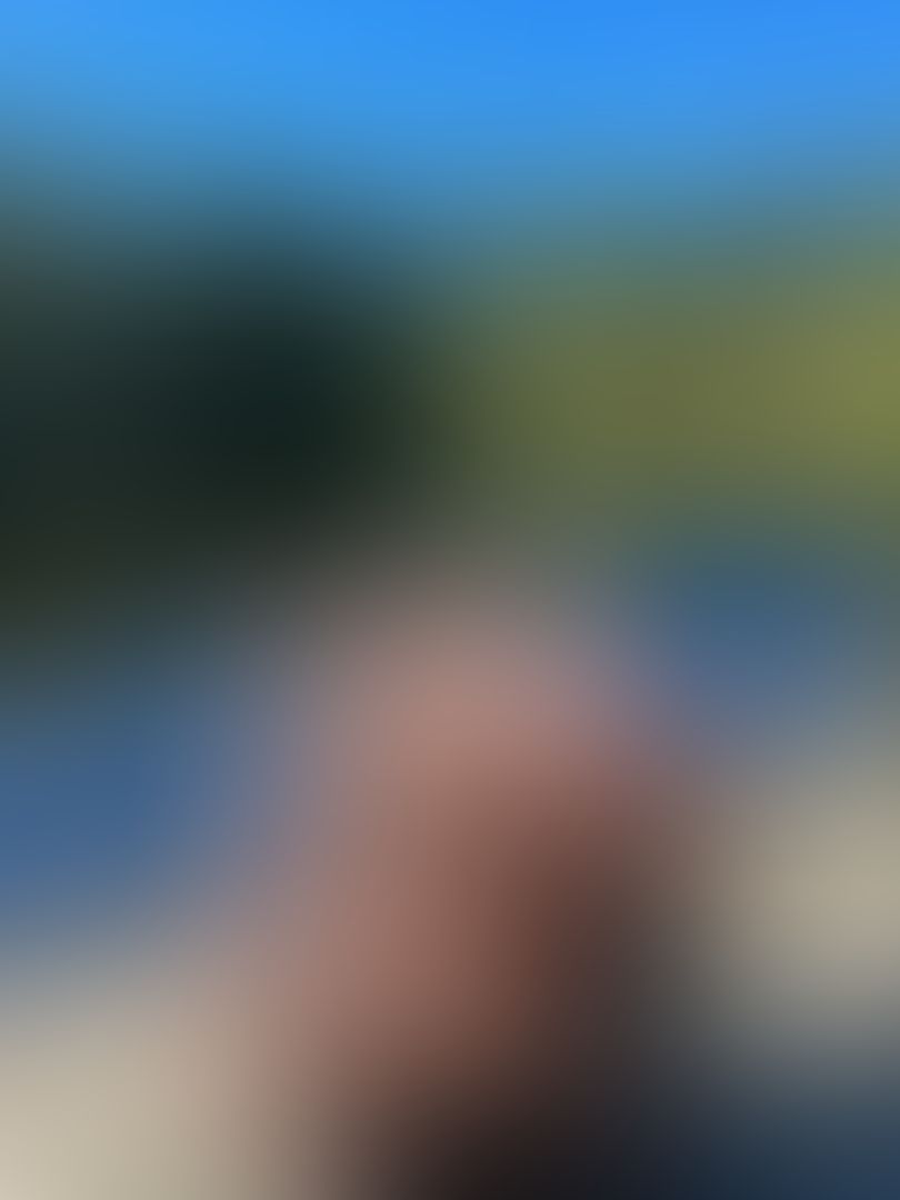 Lotus Flower Bomb 🪷 