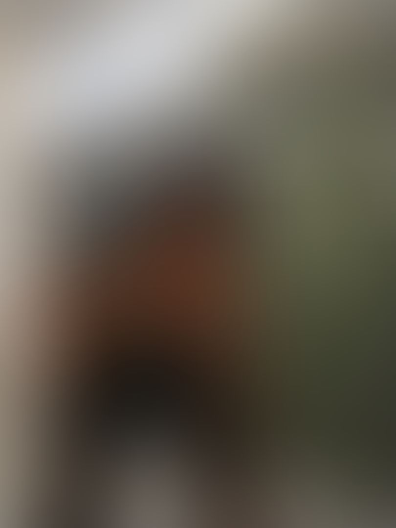 Yesterday was hump day but these cakes are worthy of being seen other days of the week. 