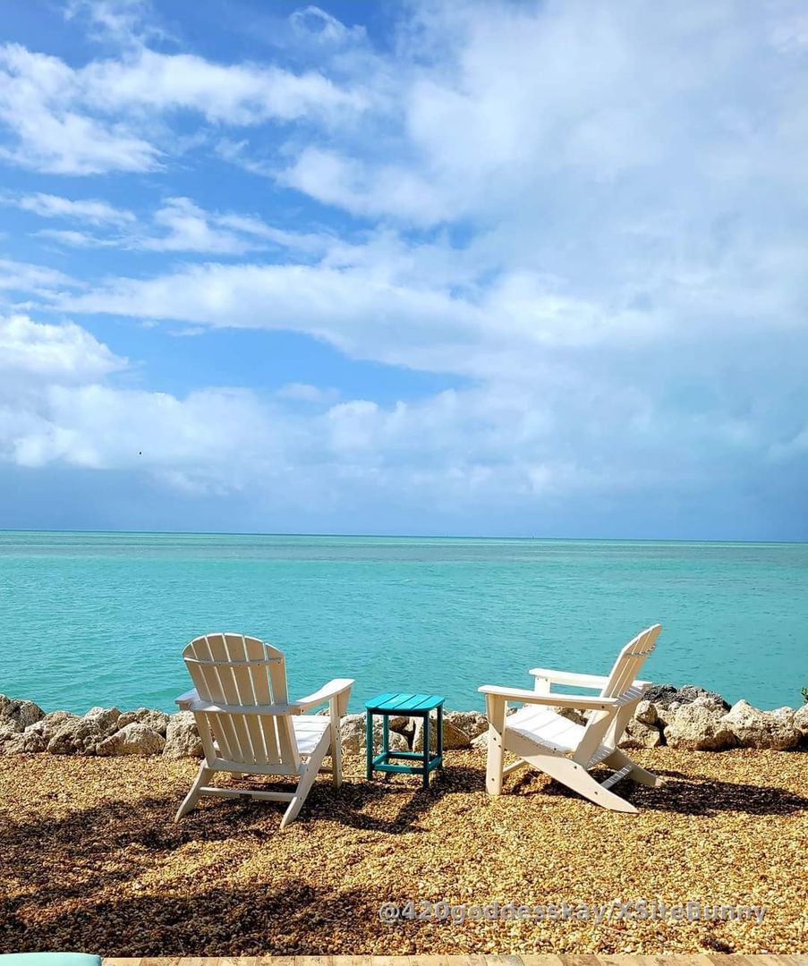 💎Premium Pics💎
I want another vacation to this beautiful. destination. Don't make Me wait any longer, message Me for payment details cucks! (Unlockable pics. of My 38G cups in a bikini & bathing suit)