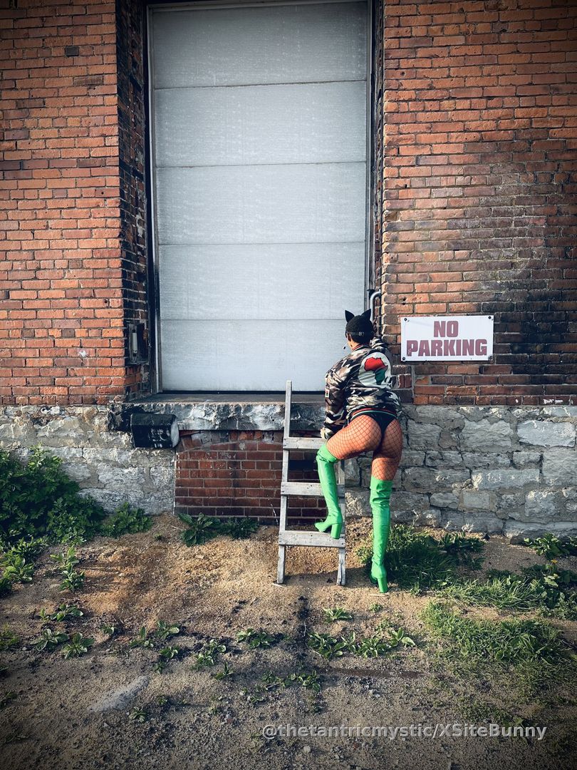 A Cat-woman on the prowl 