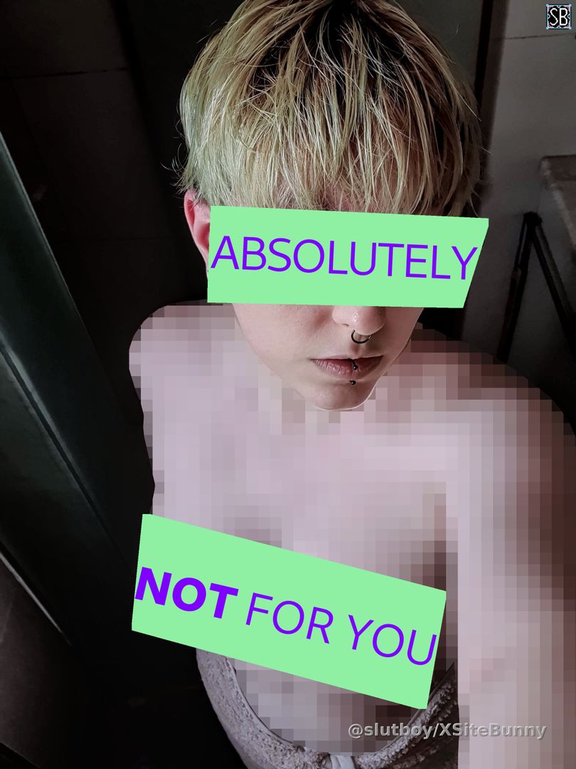 Is the double censor too mean piggies? 