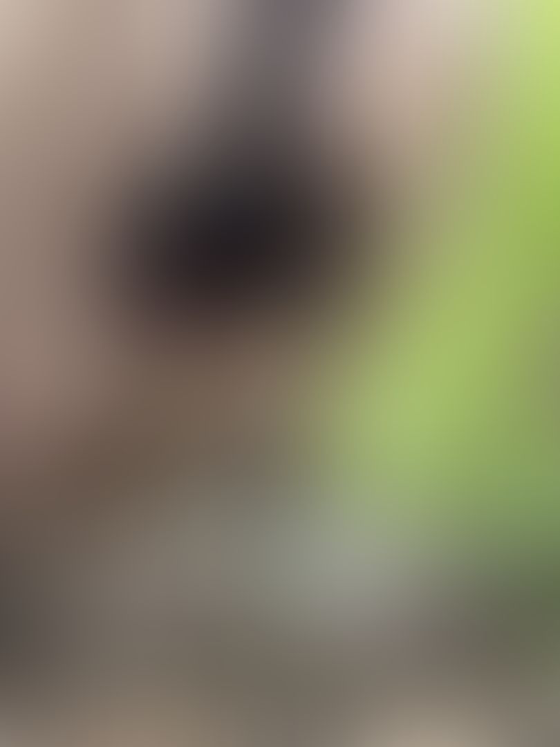 I went for an outdoor piss 😇