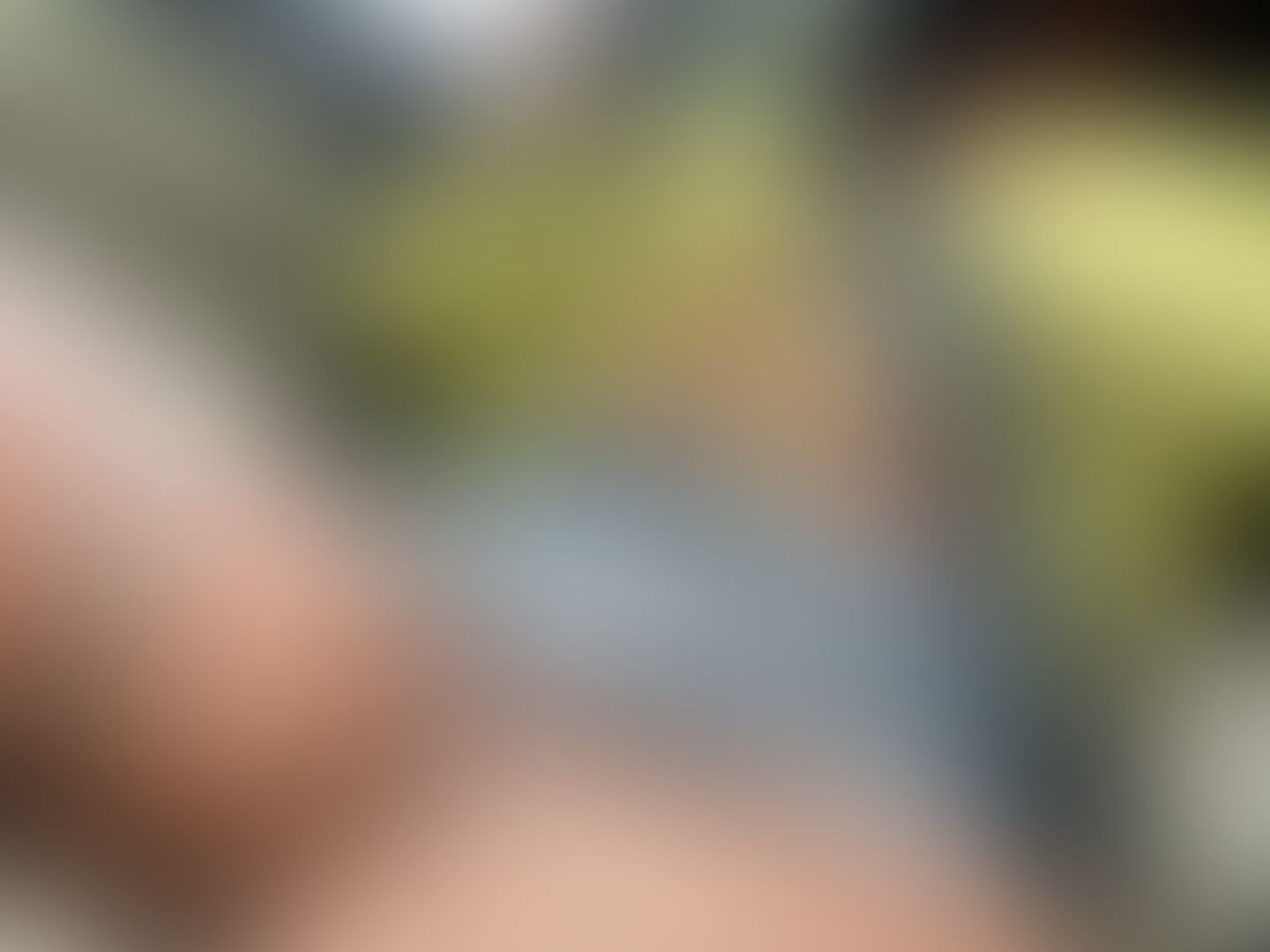 Always wear your seatbelt 