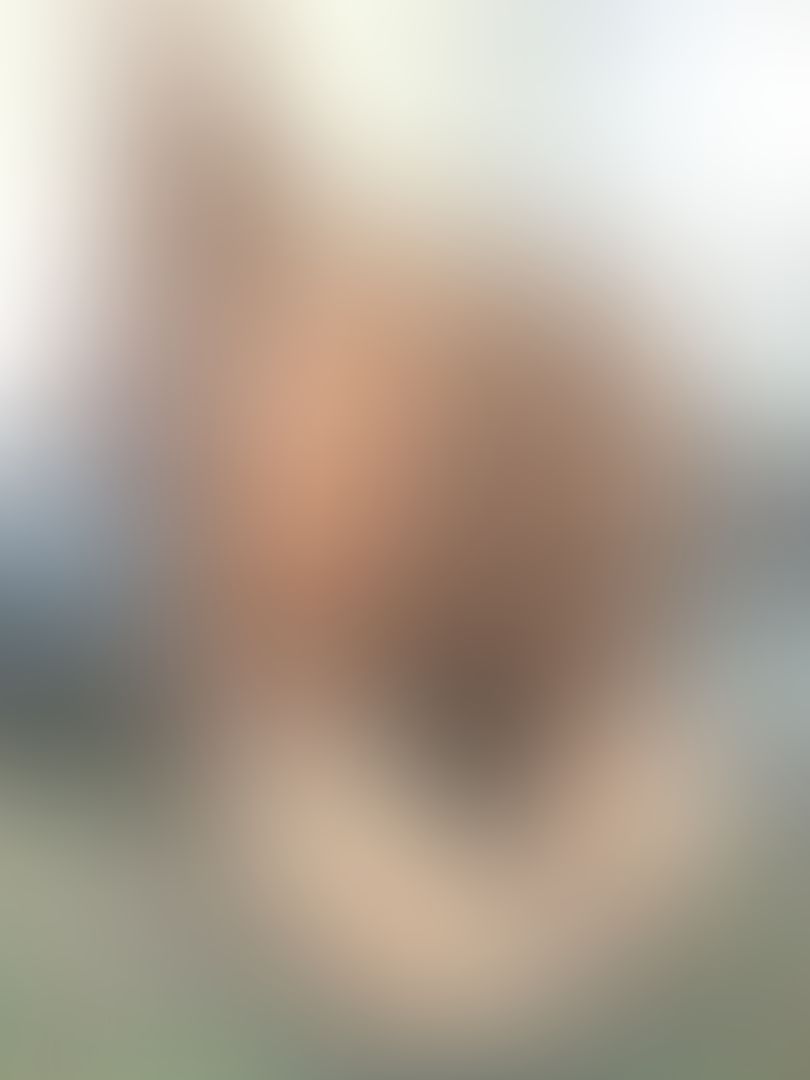 One thing ima do is bend over 😈