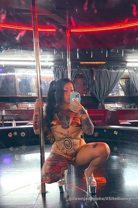 Would you hire me as your private dancer?