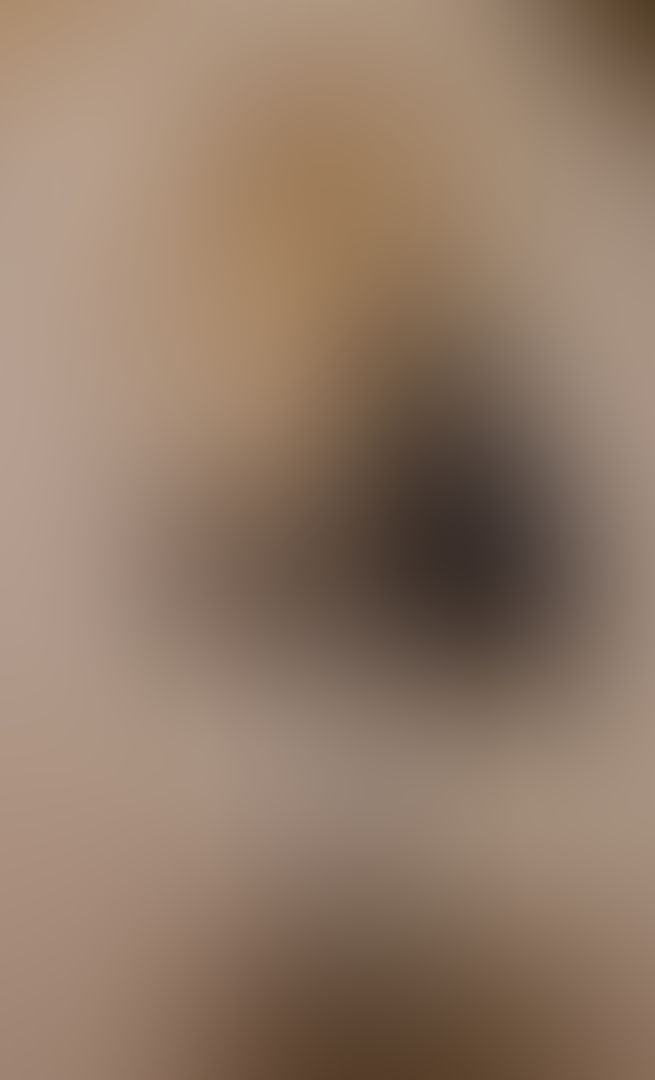 Dirty toilet brush, message for price. 