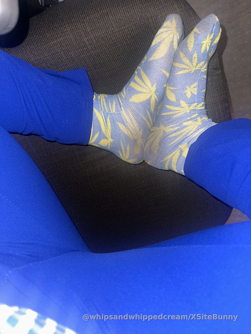 LICK EM…ya filthy animal!