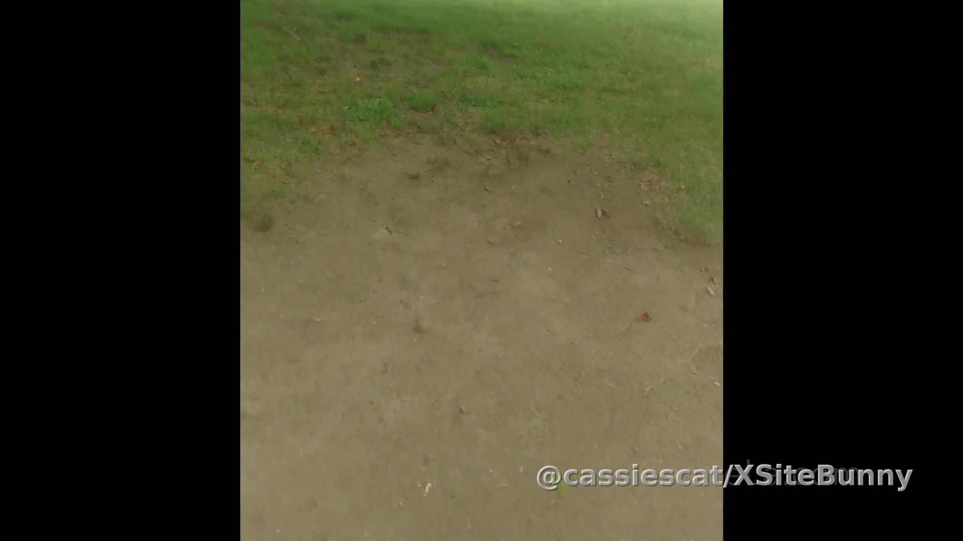 Pissing in a Nasty PortaPotty Outdoor Toilet

A long sunny day and a big park far away from restaurants with bathrooms can only mean one thing - portapotty time.

I had to piss while sunbathing in the park this past summer and I thought I could hold it but it got bad enough that I finally gave in to my full bladder and put on my flip-flops to go pee. I walked up the hill and even filmed the last bit of the walk to the portable toilet so you can see where I was.

I open the door while filming on my phone camera and scope out the nasty dirty public toilet. I pull down my shorts and panties and squat over the dirty filled up outhouse hole and start to piss into it. I then wipe on camera and throw that into the dark pit! Time to escape the stink!

Enjoy!