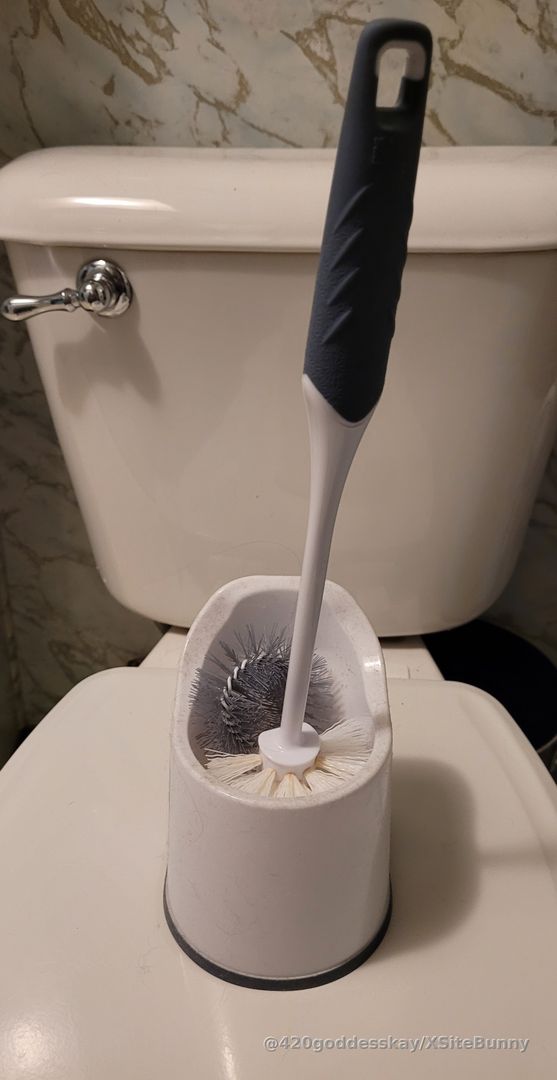 ✨️Message for price✨️ My dirty toilet brush. Which lucky human toilets will brush their teeth with this? 😆