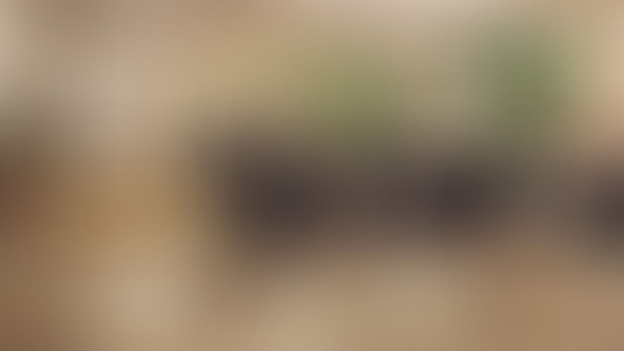 I’m sure you wanna see Boswell Black take me on a wild ride 🤤