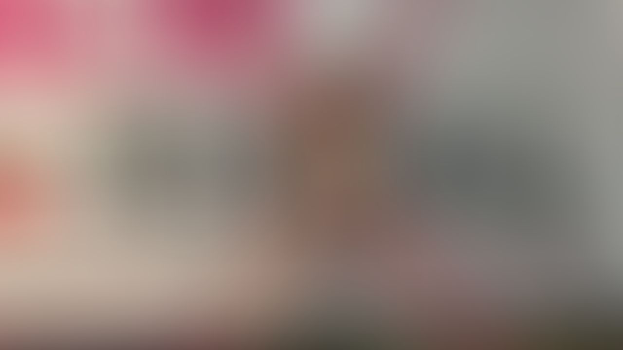 EXXXOTICA DC check the content Out 