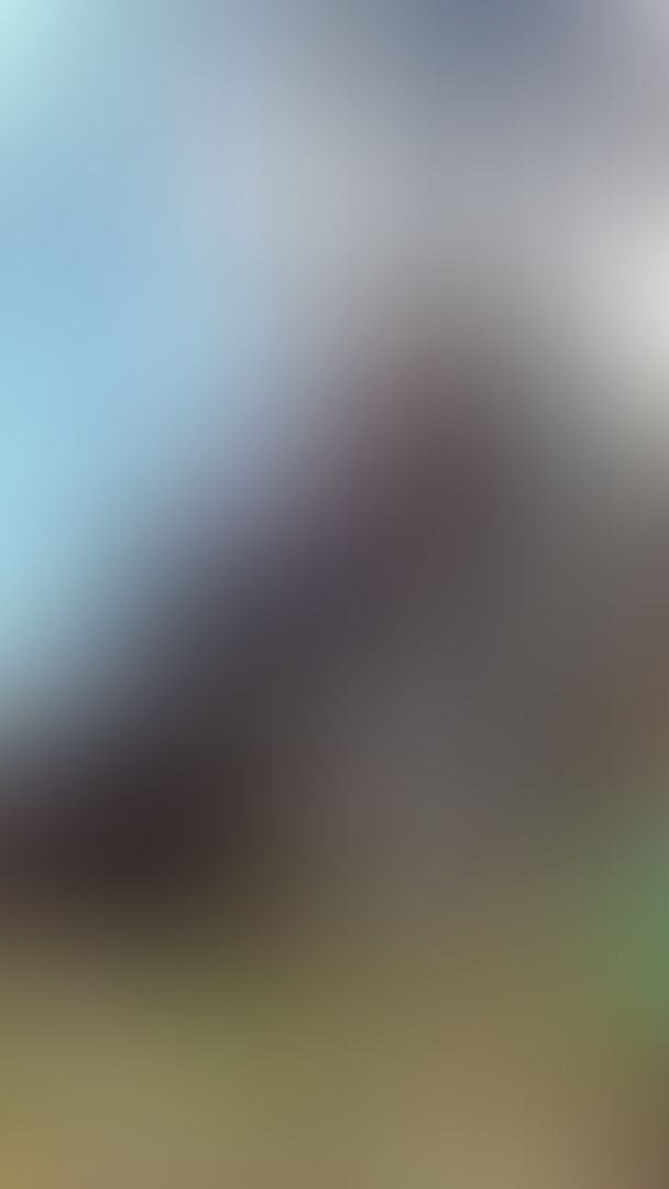 Fuckin and suckin in the woods🪵🪵