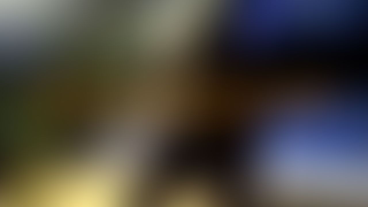 My new cameraman is just getting used to filming. Also, I did not expect that at the end. Enjoy! 