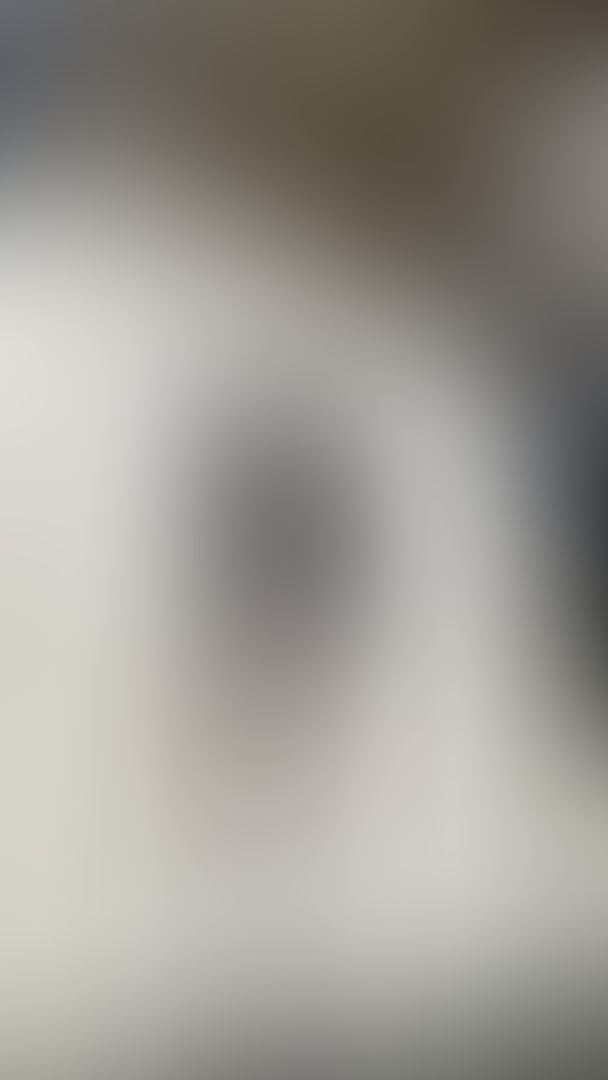 Sword play full video BTS 