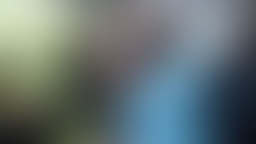 Car Head is the Best