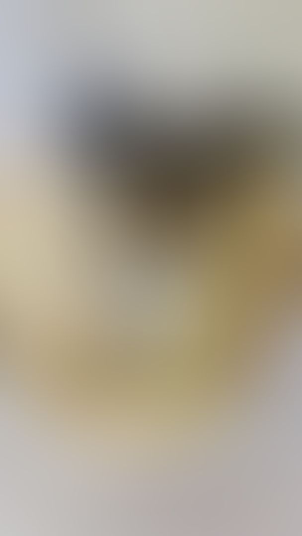 Wolf Pussy See through Lingerie + My favorite toy, Let’s play