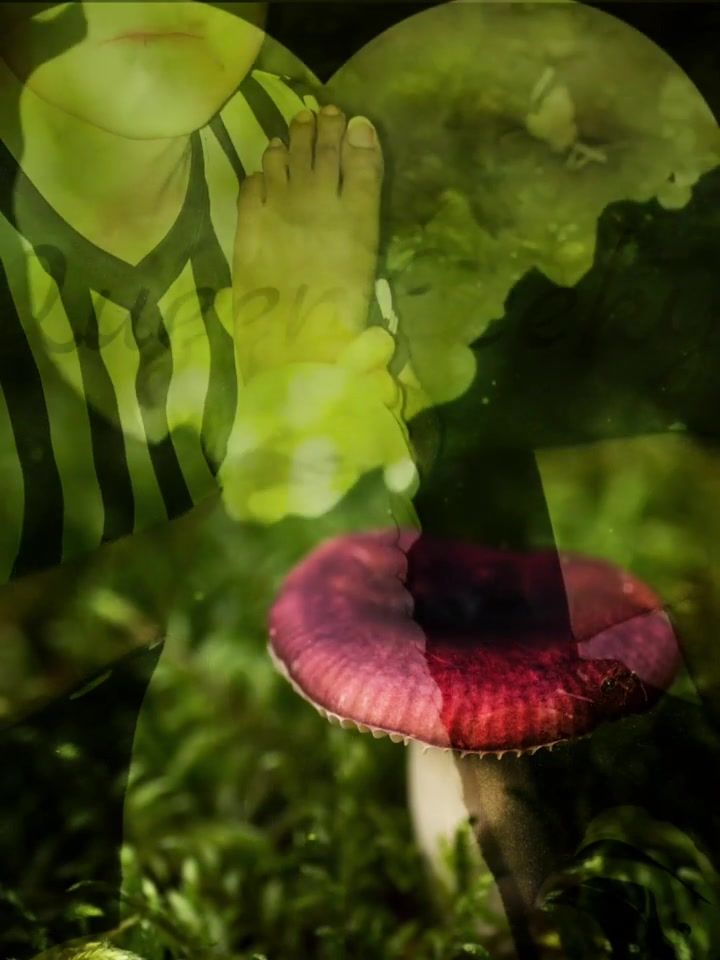 RP: Went to Foot Locker shopping for New shoes and found out the salesman has a foot fetish 👣🦶🏾🤎🤍✨