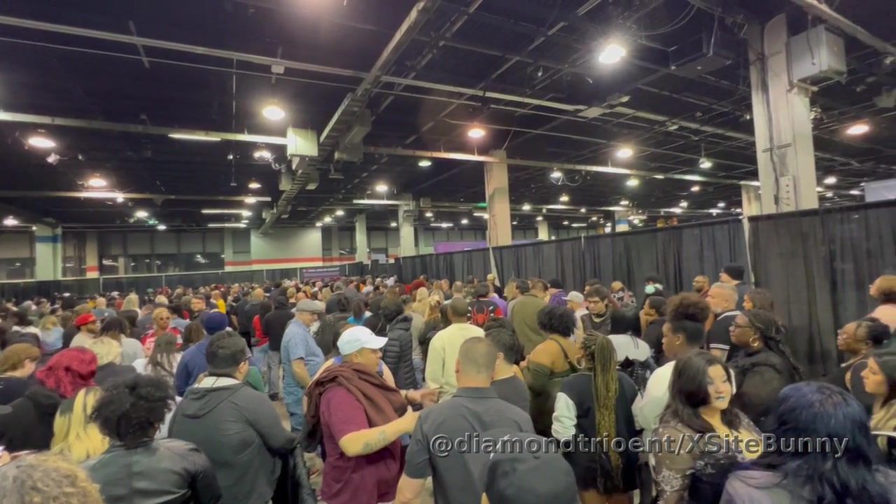 Just a little glimpse of what the Chicago Exxxotica crowd looks like. I have never seen it like this before 
