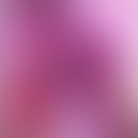 Twerktivites 🍑💦 Grade 🅰️ 