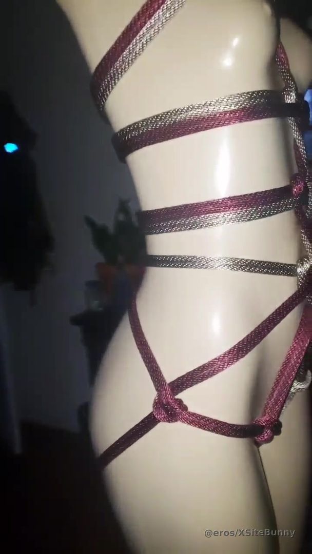 Heart Harness ❤️🪢😈