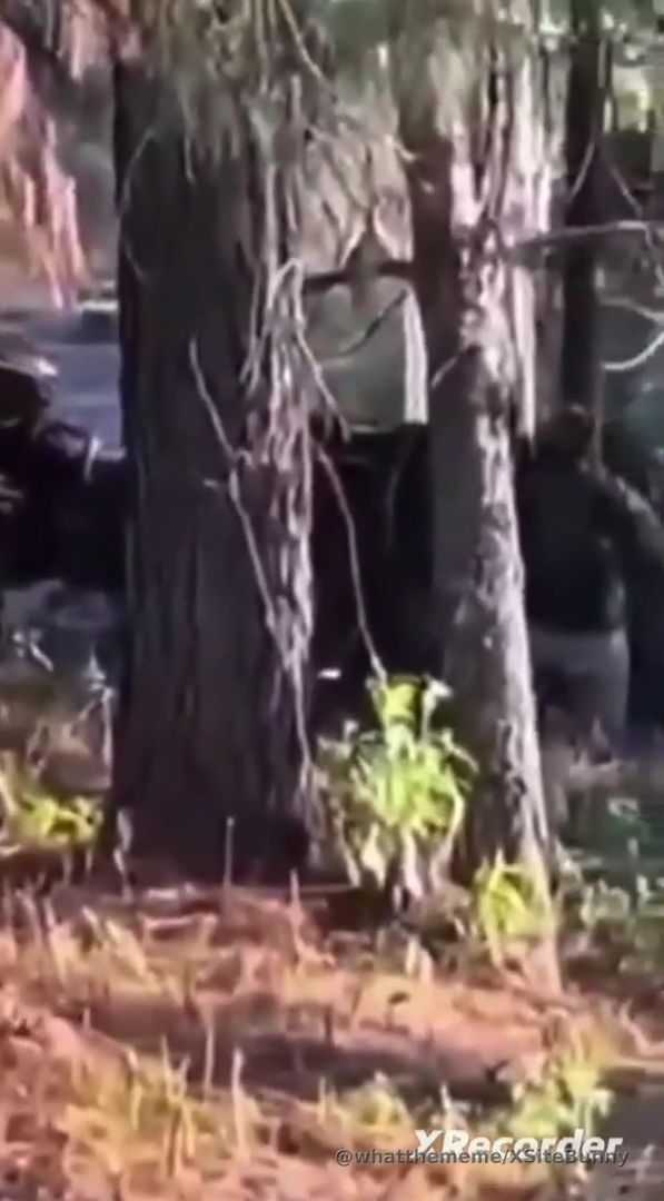 CJNG Sicarios Film Cowardly Ambush On National Guard Members On Feb. 22, 2026
(English & Spanish)
(on the left you see the white pickup trucks on the National Guards arriving, then the terrorists opening fire on them. They wounded 6 officers.
Thank God nobody died this time, but this has to end.)
** Zamora-Carapan Highway Ambush**
On the afternoon of Sunday, February 22, 2026, a joint convoy of the Mexican Army and the National Guard was ambushed on the Zamora-Carapan highway in Chilchota, Michoacán. The incident is reportedly part of a series of retaliatory attacks following the death of CJNG leader Nemesio Oseguera Cervantes (