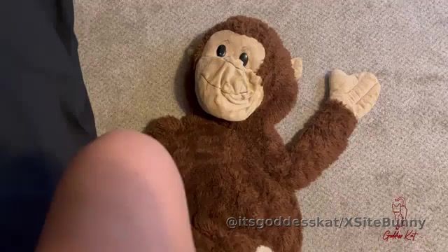 Teddy’s First Trample 

Goddess Kat was stressed and needed to release it. She decided to take it out on her teddy bear. She tramples him and she really enjoys it. She laughs and giggles as she stomps on his body and face.