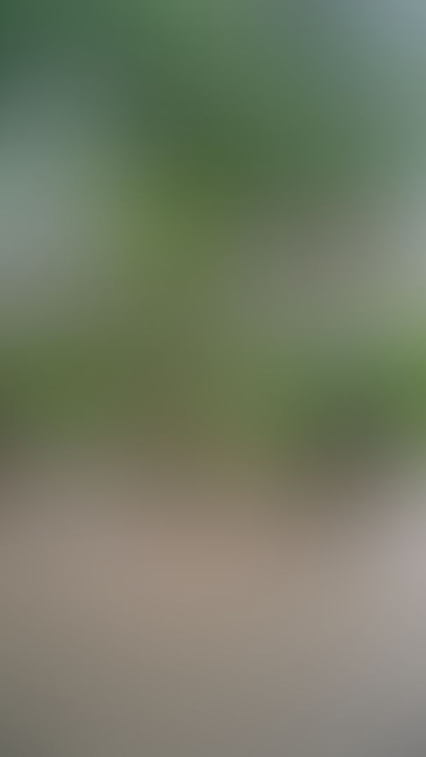 Someone challenged me to run in the rain naked 🤣