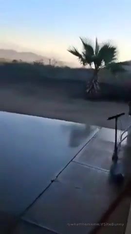 The Mexican army is conducting a large-scale anti-cartel operation in the western part of the country, near the city of Culiacan. There are reports of casualties and injuries as a result of the clashes, and a large number of police and military units are being deployed to the area