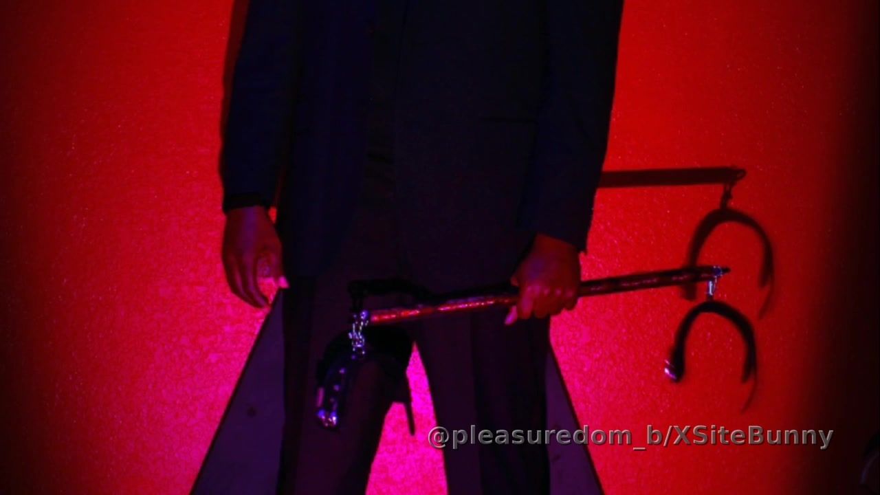 A little taste of PPI (pùssy play instructions) 😛🥵